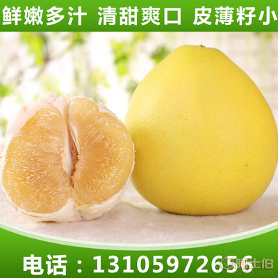 興鑫隆凱新鮮前岐四季柚與平和蜜柚 優(yōu)質(zhì)有機(jī)柚子批發(fā)首選