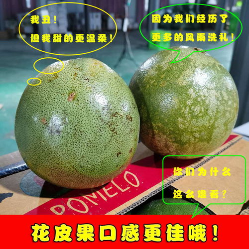 泰國(guó)青柚 白心金柚，當(dāng)季鮮果，享譽(yù)全球的熱帶特產(chǎn)