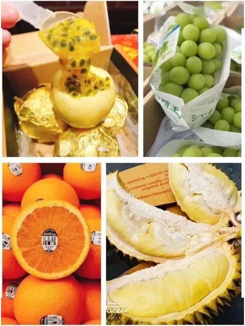 冬日柚香 12月28日起為期13天的柚子批發盛宴